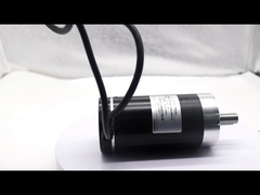 Azaltma Oranı için 9N.M Kanat Kapısı DC Servo Motor 24 Volt