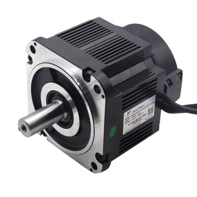 48VDC 250W 8Nm Artımlı Enkoder Servo Motoru Turnike Servo Motoru Düşük Voltajlı DC Motor